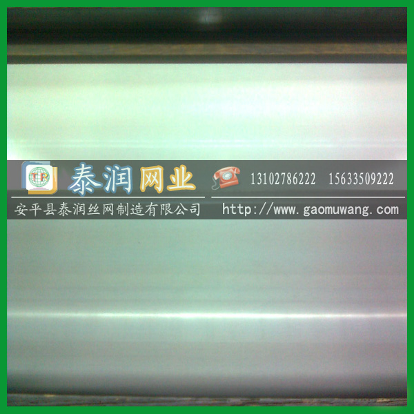 160目平纹不锈钢网